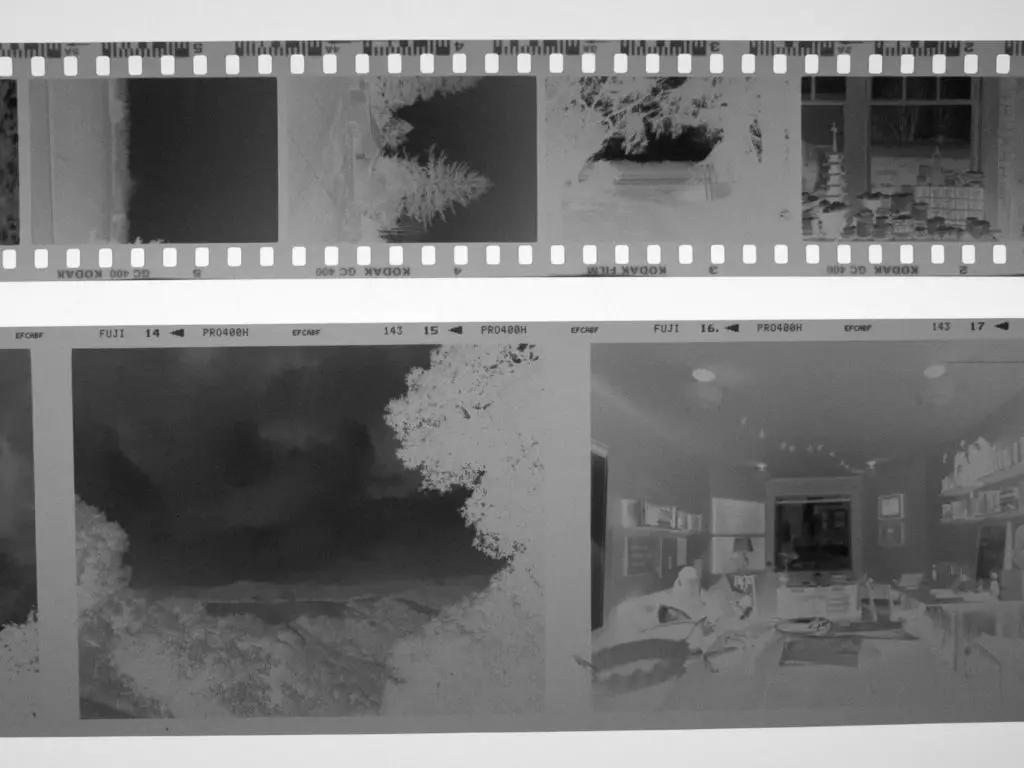 35mm and Medium Format Film Negatives