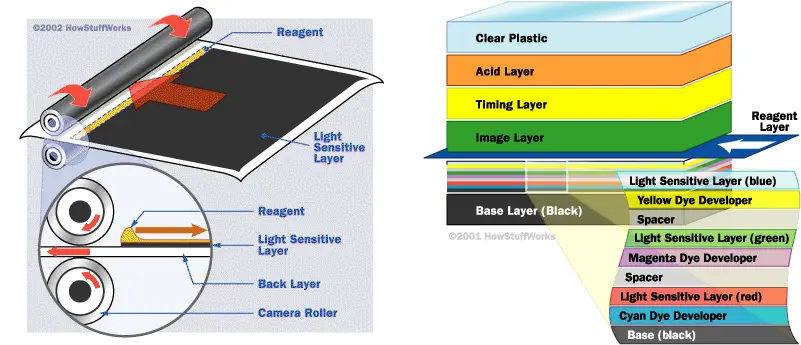 Comment fonctionnent les caméras instantanées. À droite, une illustration de la réalisation du film instantané. À gauche se trouve une illustration sur ce qui arrive au film instantané lors de la sortie de la caméra. Source: howstuffworks.com